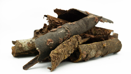 Cinnamomum cassia