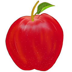 red apple isolated on white