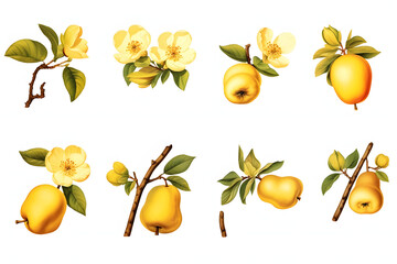 Watercolor painting of lemon branches with yellow fruit and green leaves