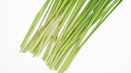 Fototapeta premium Lemon Grass. Herb plant