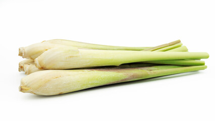 Lemon Grass. Herb plant