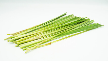 Lemon Grass. Herb plant