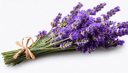 Fototapeta premium Lavender bouquet bound with twine, purple sprigs