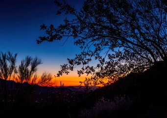 Naklejka premium Fiery sunset casts silhouette of plants and a hill under a deep blue and orange sky. Hills are distant and softly lit