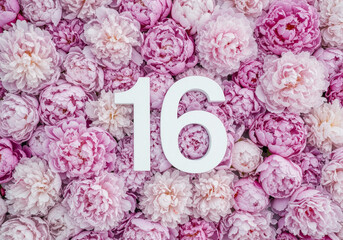 White number 16 against soft pink peony blooms.