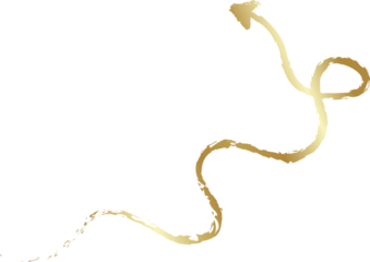 Golden arrows brush style. Design elements