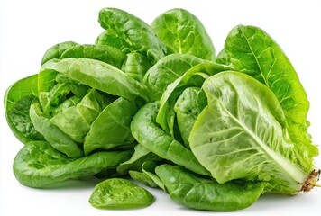 Fototapeta premium Cluster of fresh, vibrant green romaine lettuce leaves piled on a white surface, casting a soft shadow