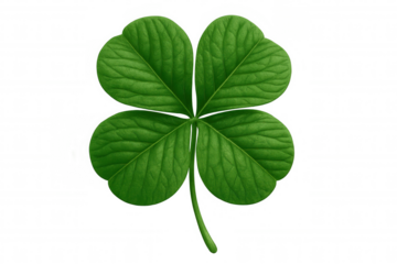 Green four-leaf clover representing luck and fortune, featuring a transparent background, perfect for celebrating st. Patrick's day and irish culture