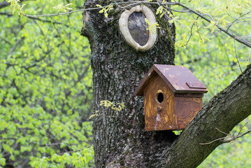 birdhouse for birds and squirrels