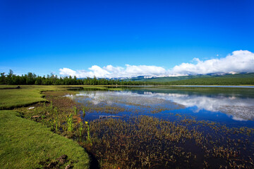 A breathtaking view of Khuvsgul Lake in northern Mongolia, surrounded by pristine nature, crystal-clear water, and tranquil shoreline. Known as the 