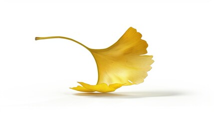 Naklejka premium Studio-Staged Indoor Macro Close-Up of Cut Yellow Ginkgo Leaves: Still Life Plant Shot with White Background, Negative Space & Fresh Natural Vibe for Wallpaper Design