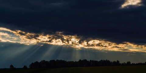 Fototapeta premium Sunlight streams through clouds, illuminating a serene forest landscape with dramatic flair.