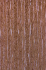 texture of wood. wooden board, eclological material. artificial wooden coating, 
from recycled materials,beautiful texture, light, brown, view from above. vertical texture.