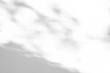 Abstract natural tree leaves shadow on white wall background