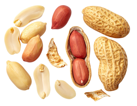 Minimalist Peanuts Composition with Seeds and Shell Fragments, Modern Top Shot PNG