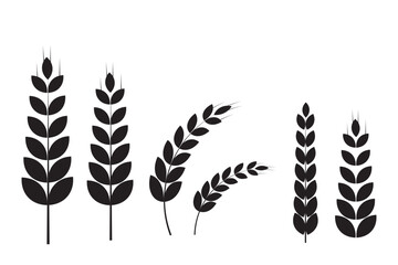 Agriculture wheat icon set, Organic wheat, bread agriculture and natural eat, rice isolated on white background, vector illustration. Grain, bread, nutrition, natural product, and eco-friendly design.
