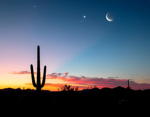 Silhouette of a saguaro cactus against a vibrant sunset sky with the moon and stars.