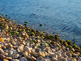 The clear turquoise water of the sea gently washes over a shoreline of smooth pebbles and rocks covered with green moss a serene and colorful natural coastal scene