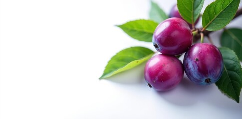 Luscious purple plums, vibrant leaves, pristine white backdrop, closeup, photography, element