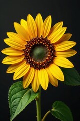 Obraz premium Intricate sunflower disk, pollen-dusted florets , bloom, botany, vibrant