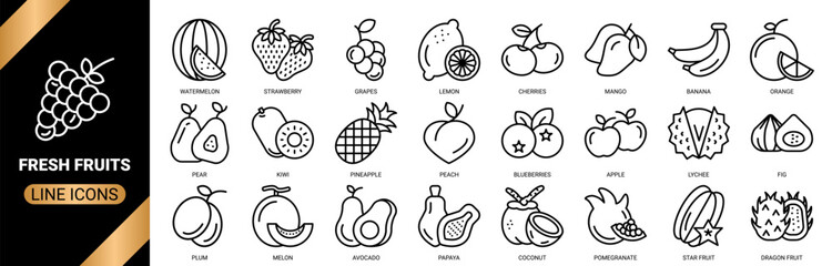 Fresh fruits icon set collection in outline style. an icon pack containing icons of banana, orange, apple, strawberry, mango, and more.
