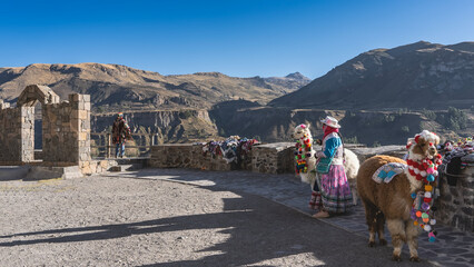Beautifully dressed llamas and their owners on a high-altitude observation deck. The animals are decorated with bright multicolored pompoms and tassels. A woman in a national costume. Mountains