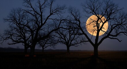 Spooky Halloween Night Landscape with Full Moon and Pumpkins