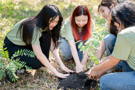 Group of People Planting a Tree Sapling, Young People Planting a Tree for a Better Future, People Collaborating to Plant a Tree in the Ground, Volunteering for Reforestation