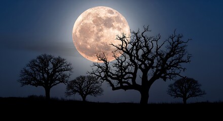 Spooky Halloween Night Silhouette of Leafless Trees against a Giant Harvest Moon and Starry Night Sky - Creepy  Eerie  Mystical Atmosphere for October Backgrounds  Cards  and Designs