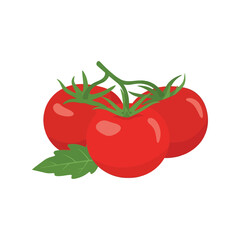 Fresh ripe red tomatoes on vine healthy ingredient for cooking and salads vector