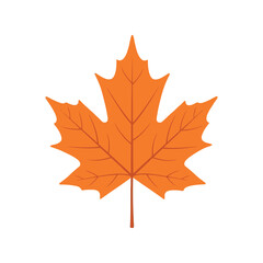 Vibrant orange maple leaf isolated on white autumn foliage seasonality symbol nature vector