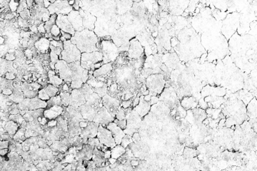 cracked soil texture background transparent