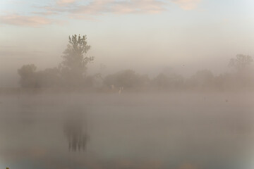 Mglisty poranek nad wodą jesienią.  © Elżbieta Kaps