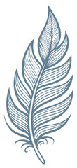 Fototapeta premium Elegant Feather Illustration Intricate Lines Delicate Design Simple Style Isolated Art
