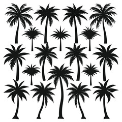 Minimalistic Tropical Palm-Tree Silhouette Vector Set