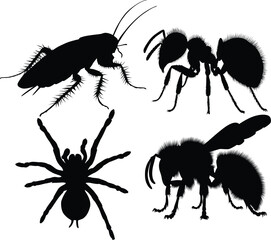 Insect and Spider Silhouettes Collection