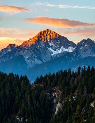 Mountain peak bathed in golden sunrise, snow-capped, with forested slopes