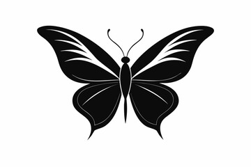 Fototapeta premium Black butterfly silhouette vector on white background with wings and nature elements