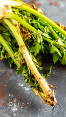 Close-up of celery stalks with some discoloration and wilting leaves