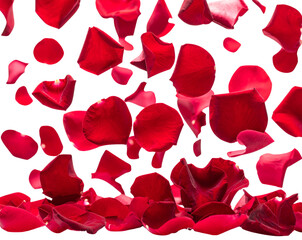  Romantic Red Rose Petals Falling Gracefully Isolated on Transparent Background PNG