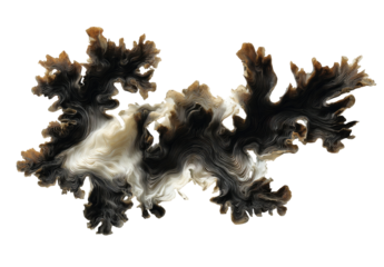 Abstract organic shapes in shades of brown, beige, and white, outlined in a contrasting color