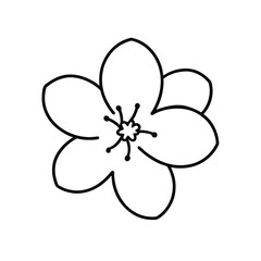Minimalist cherry blossom flower line art drawing silhouette