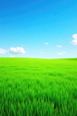 Fototapeta premium A long, flat expanse of vibrant green grass stretches out under a clear blue sky, perfectly horizontal Ideal for concepts of peace, tranquility, and wide open spaces , flat, earth