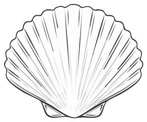 Graceful Scallop Shell Marine Life Line Art Vector Illustration
