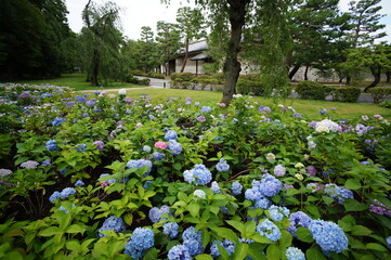 京都、二条城の風景