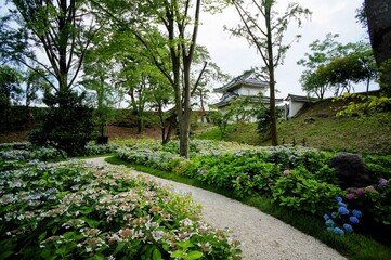 京都、二条城の風景