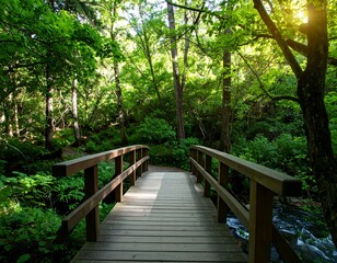 Wooden bridge through lush forest. Sunlight streams through trees