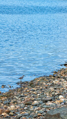 Location of Ozero Izmenchivoye(Lake Changeable), Russia (lagoon in Sakhalin)