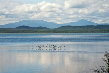 Location of Ozero Izmenchivoye(Lake Changeable), Russia (lagoon in Sakhalin)