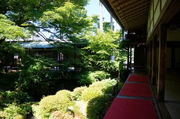 Obraz premium 京都、瑠璃光院の風景